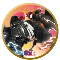 6zk
